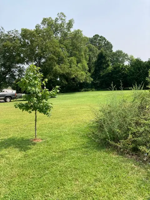 302 Bleckley Street, Anderson, SC 29625 - #1