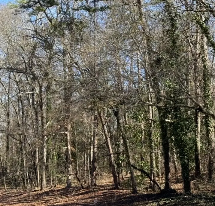 Lot 1-C Greenville Street, Anderson, SC 29621 - #1