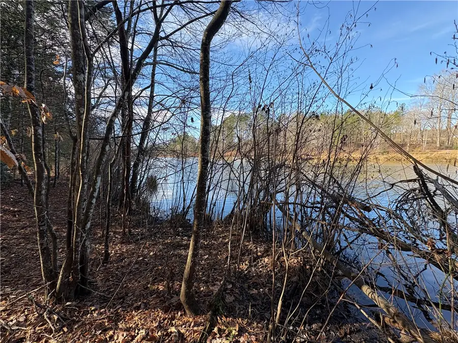 621, 619, 617 The Bear Boulevard, Tamassee, SC 29686 - #3