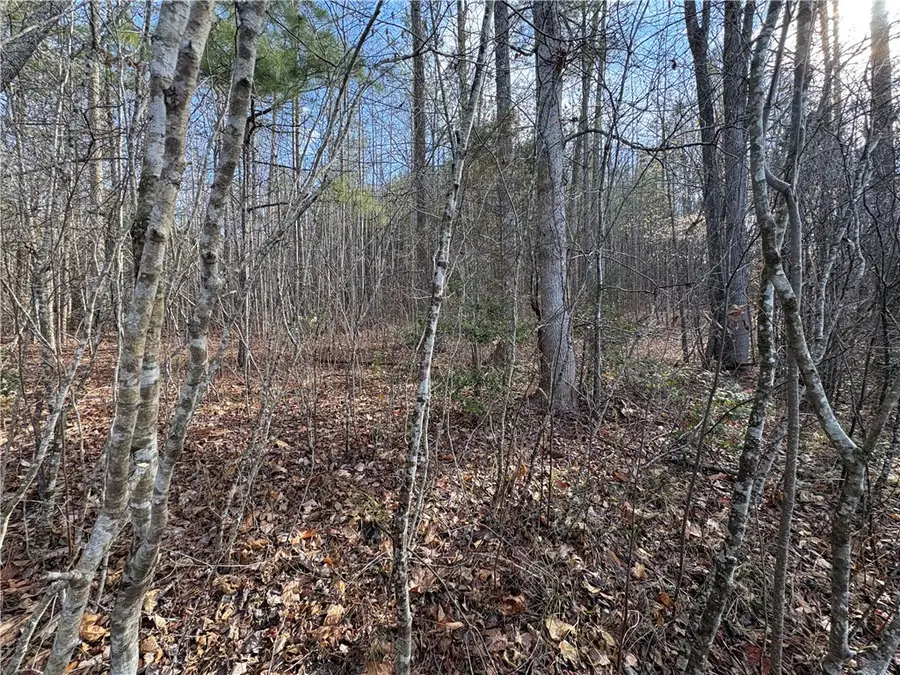 621 The Bear Boulevard, Tamassee, SC 29686 - #3