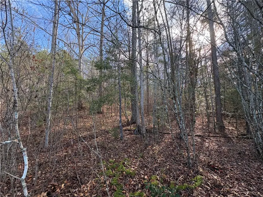 619 The Bear Boulevard, Tamassee, SC 29686 - #3