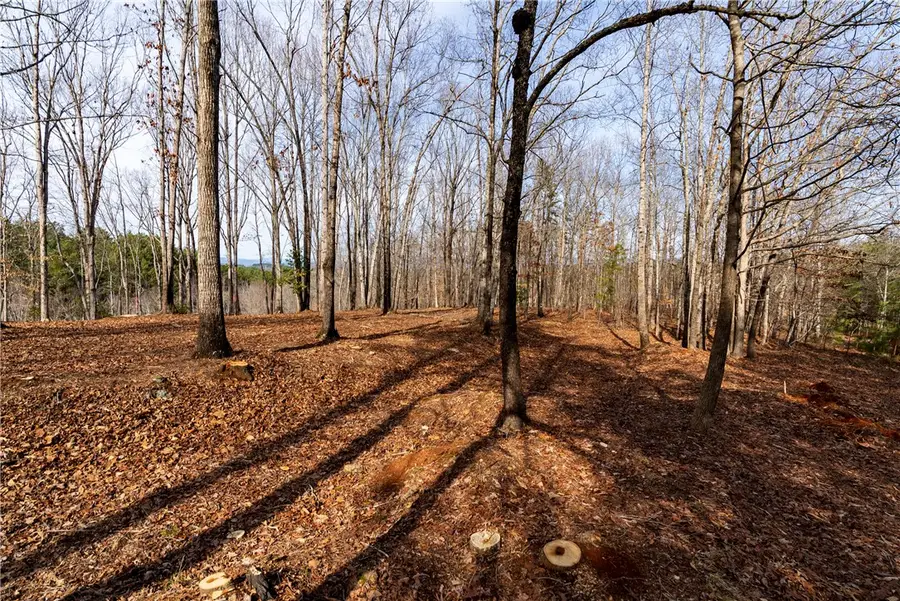 Lot 119 Pine Harbor Way, Salem, SC 29676 - #2