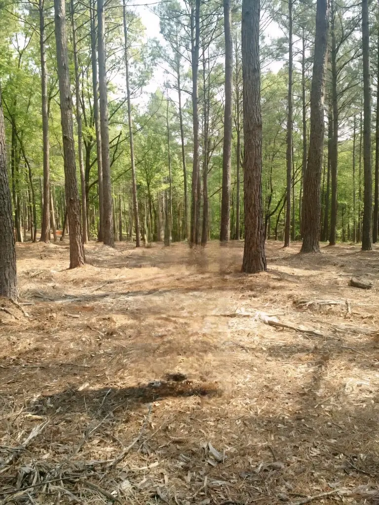 Lot #63 Harbor Point Road, Seneca, SC 29672 - #1
