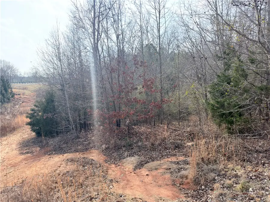 304 Forked Oak Way Way, Fountain Inn, SC 29644 - #2