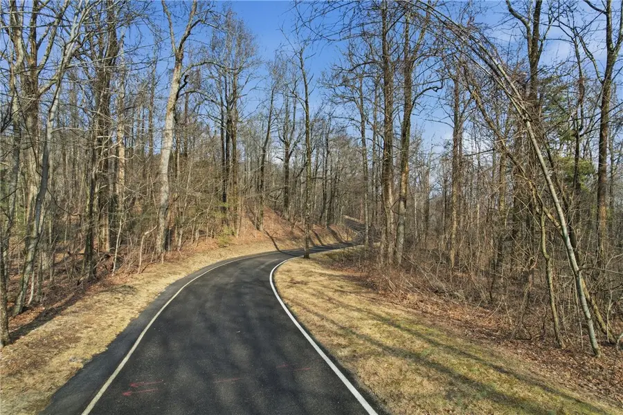 116 Witch Hazel Trail, Landrum, SC 29356 - #3