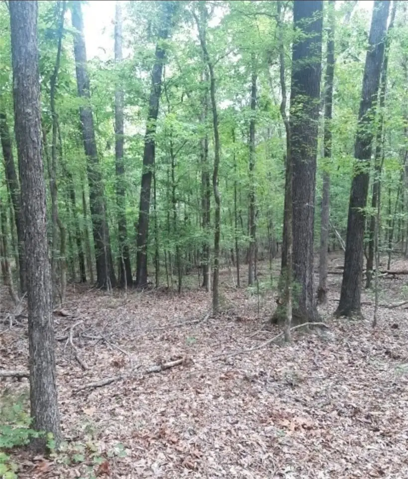 00 Lone Eagle Way #lot 19, Iva, SC 29655 - #2