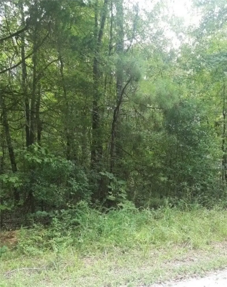 00 Lone Eagle Way #lot 19, Iva, SC 29655 - #3