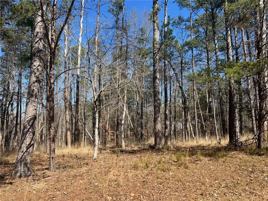 Lot 31 North Shores Drive, Westminster, SC 29693 - #1