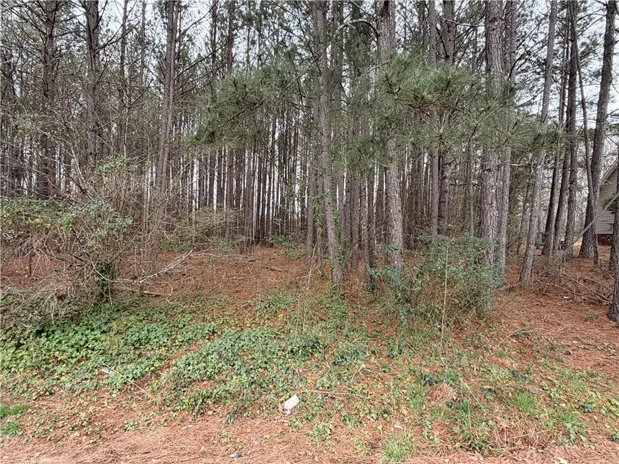 118 Haynie Drive, Belton, SC 29627 - #3