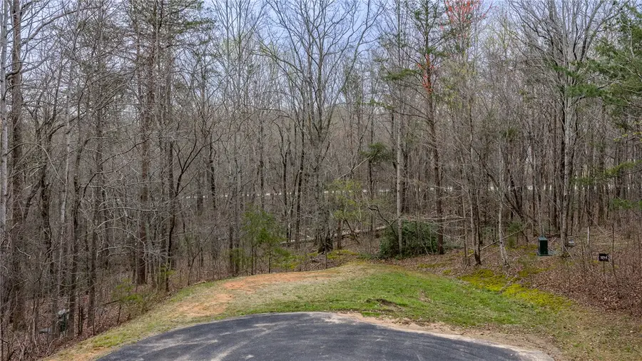 56 Angleblade Road, Landrum, SC 29356 - #2