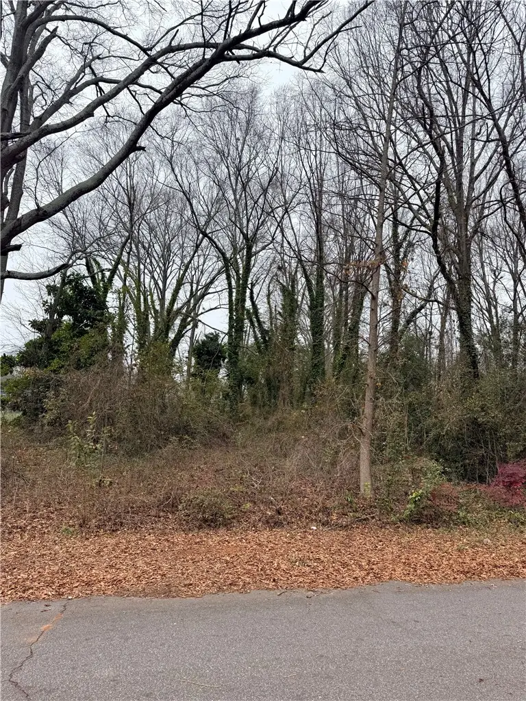 0 Lyndon Avenue, Anderson, SC 29624 - #2