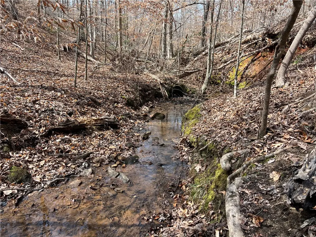 00 Cann Road, Anderson, SC 29625 - #1