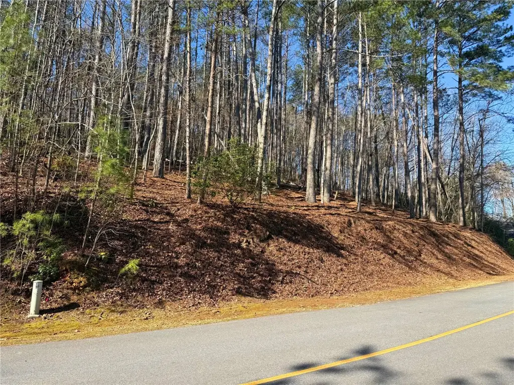 123 Stillwater Court, Sunset, SC 29685 - #1