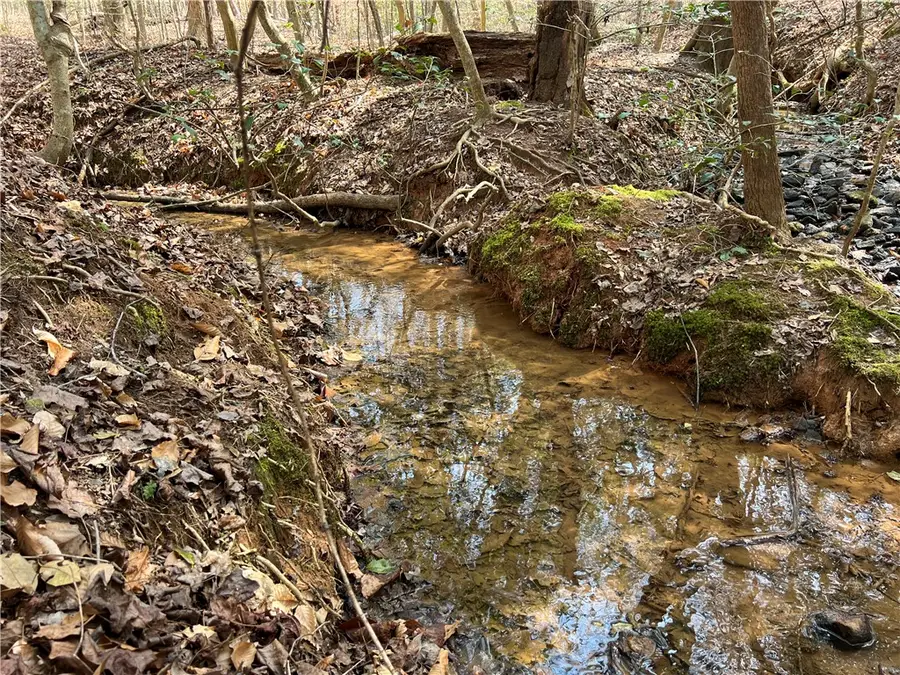 Tract B Cann Road, Anderson, SC 29625 - #2