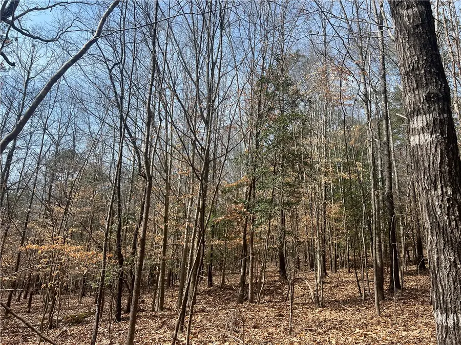 Tract B Cann Road, Anderson, SC 29625 - #3