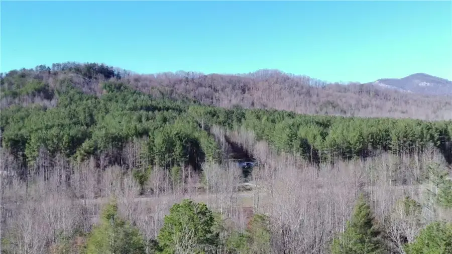 262 Blue Sky Drive, Sunset, SC 29685 - #2