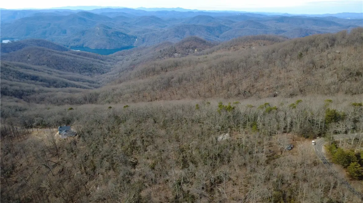 65 Big Pine Rock Way, Landrum, SC 29356 - #1