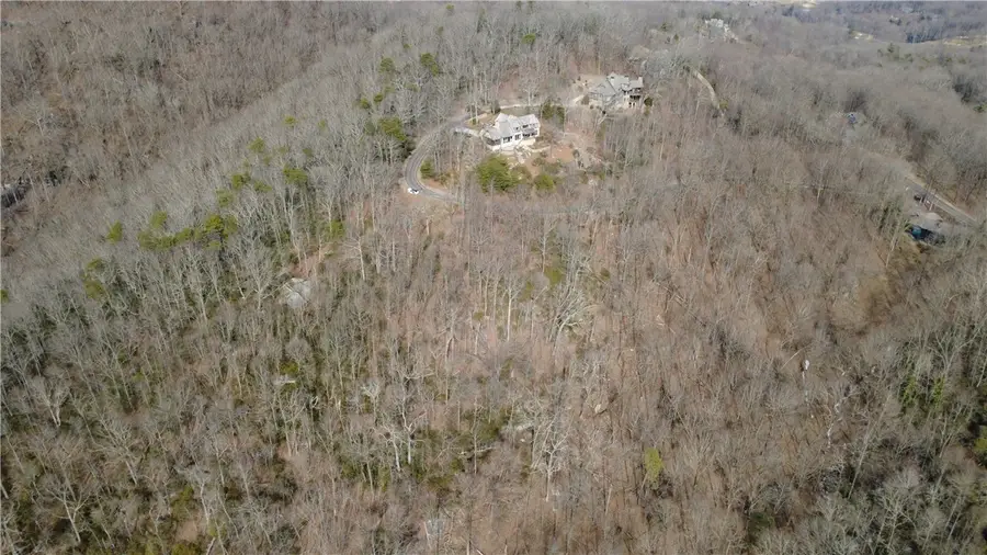 65 Big Pine Rock Way, Landrum, SC 29356 - #3