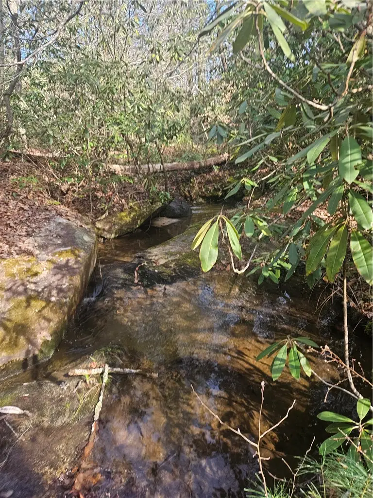 177 Cross Creek Road, Salem, SC 29676 - #1