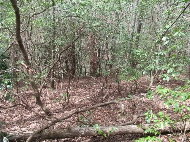 315 Falcon Crest Way, Pickens, SC 29671 - #3