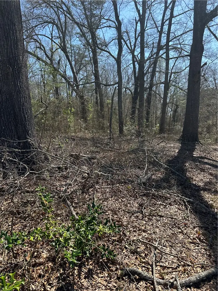 112 Rogers Lane, Pickens, SC 29671 - #3