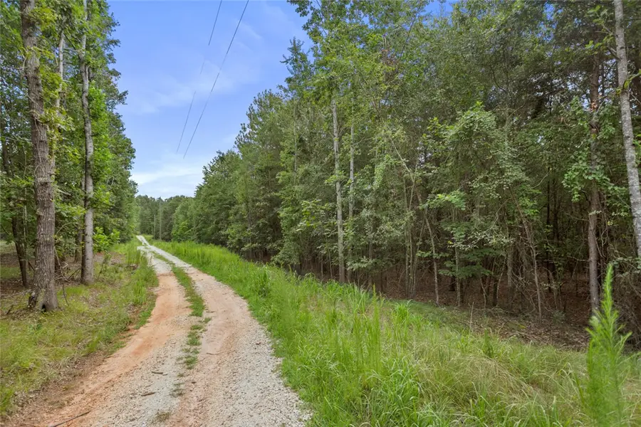 00 Old Hamilton Road, Seneca, SC 29678 - #2