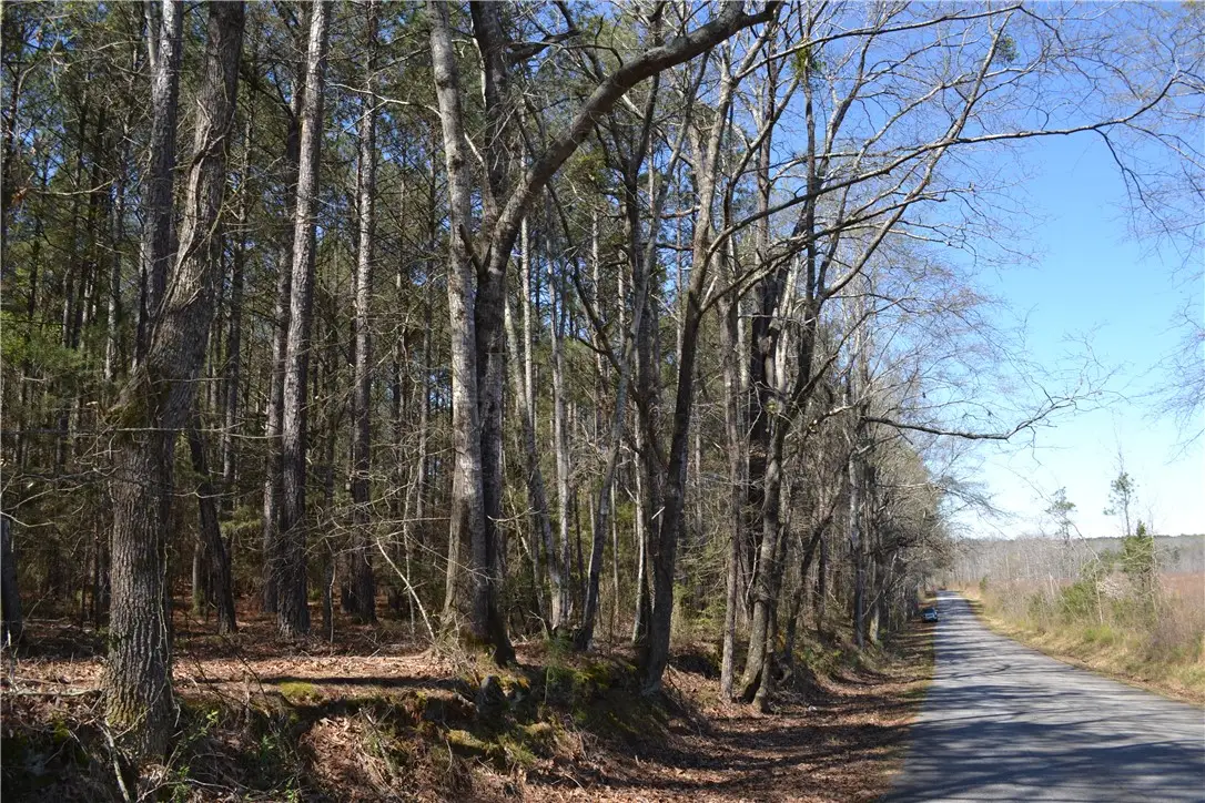 827 Audubon Place, Iva, SC 29655 - #1