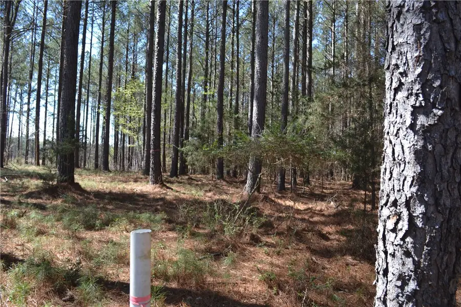 827 Audubon Place, Iva, SC 29655 - #3