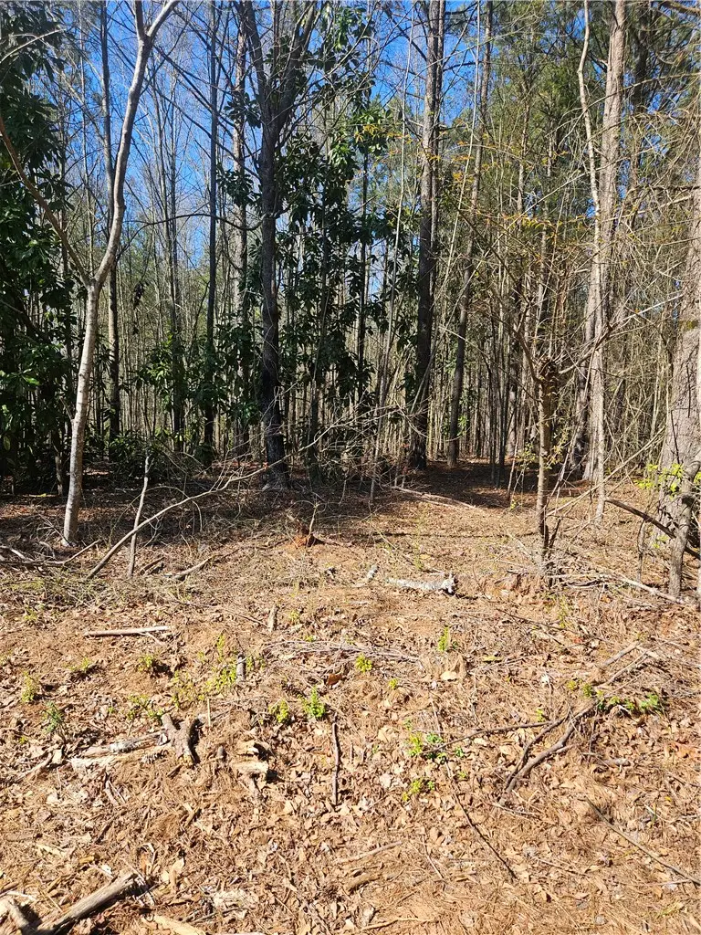 00 Hunter Mill Road, Liberty, SC 29657 - #3