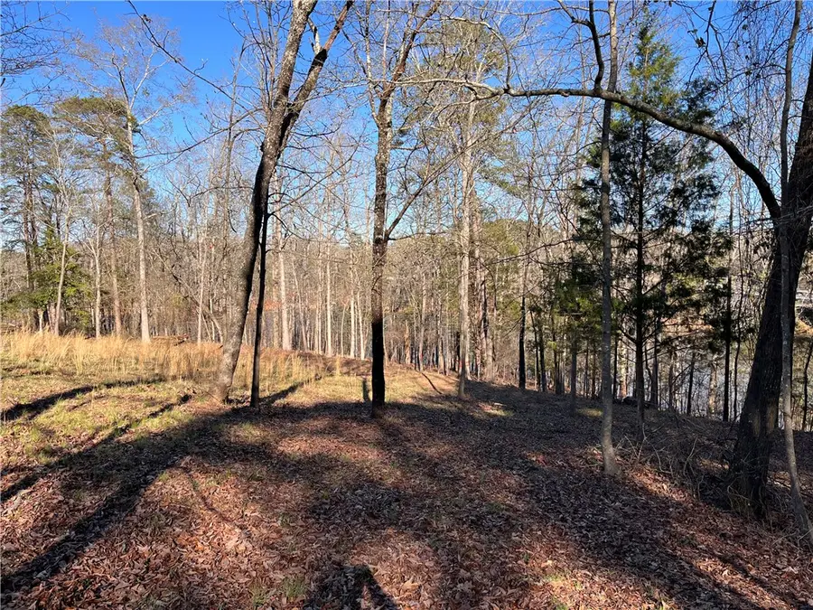 117 Melia Lane, Anderson, SC 29625 - #3