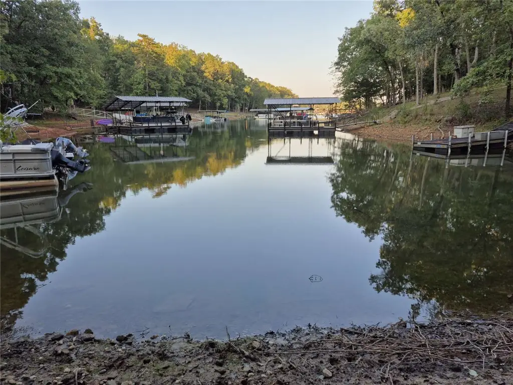 207 Turk Road, Townville, SC 29689 - #1