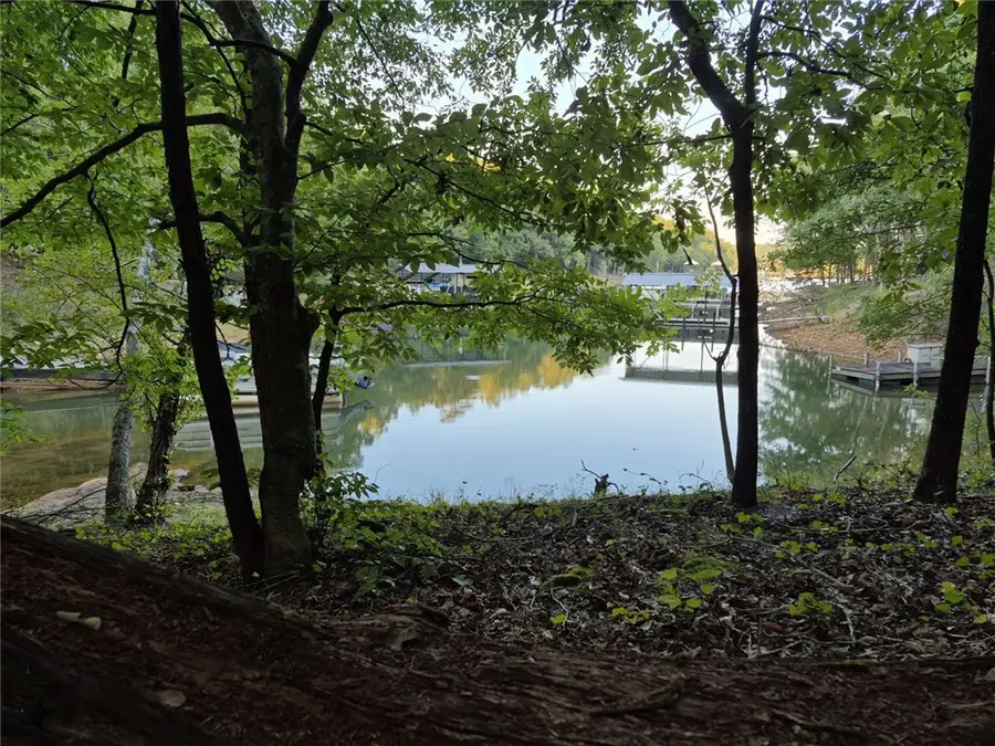 207 Turk Road, Townville, SC 29689 - #2