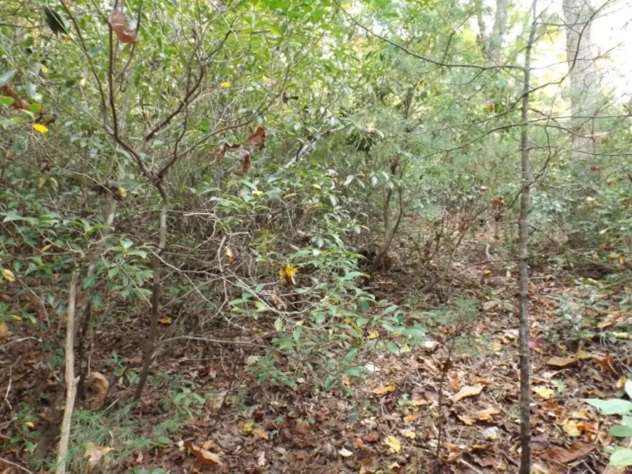 116 Fireside Lane, Pickens, SC 29671 - #3