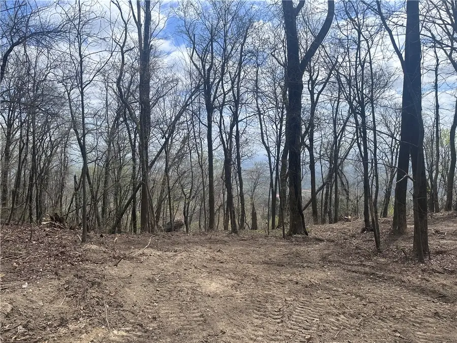 00 Flintrock Knob Lane, Landrum, SC 29356 - #2