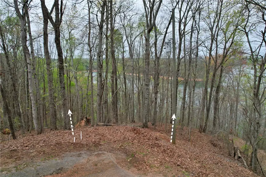 705 W Pecan Drive, Westminster, SC 29693 - #3