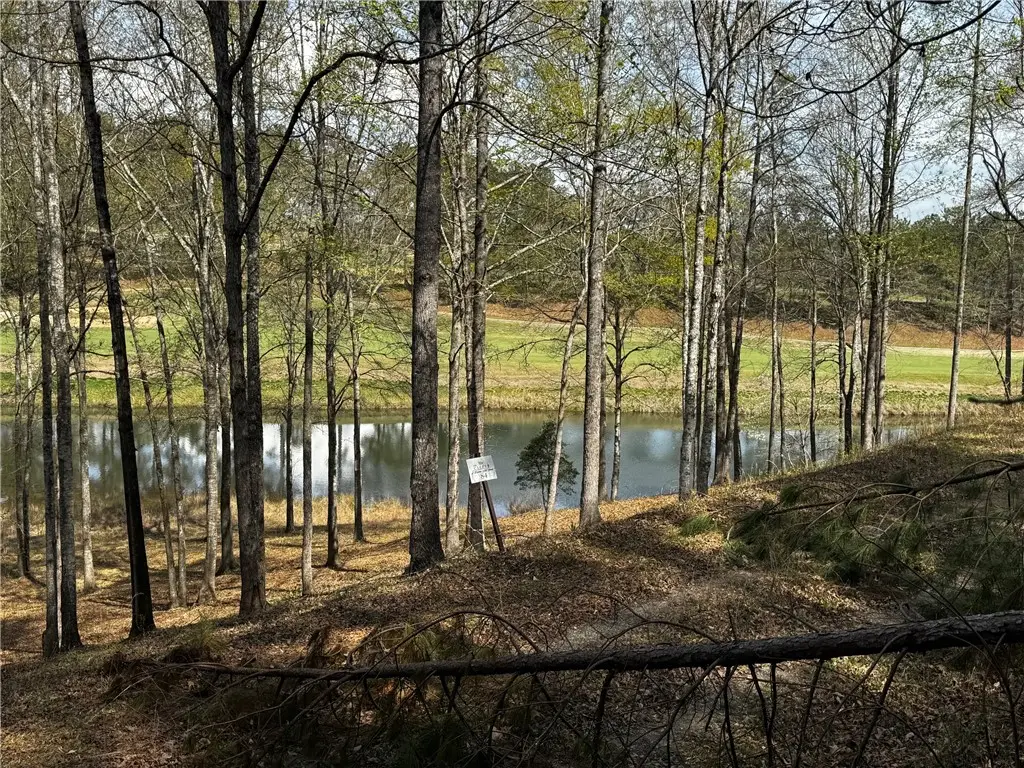 HR83 Briarberry Court, Salem, SC 29676 - #1