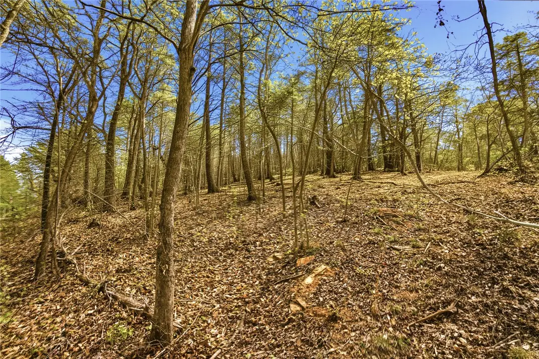 Lot 36 Brandywine Drive, Westminster, SC 29693 - #1