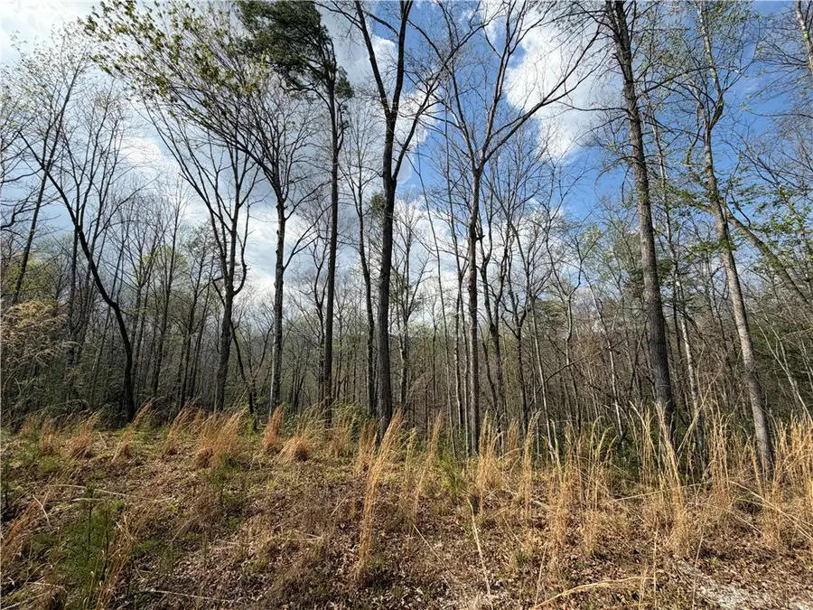 45 Emerald Crest Lane, Cleveland, SC 29635 - #3