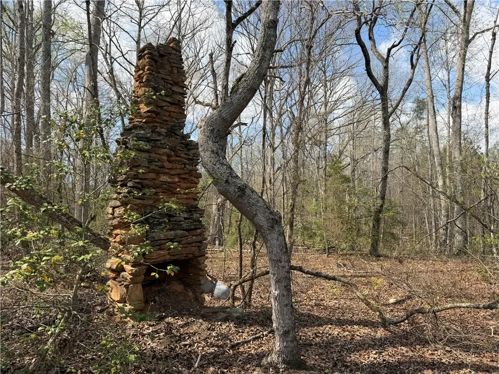 lot 5 Pickens Drive, Pendleton, SC 29670 - #1