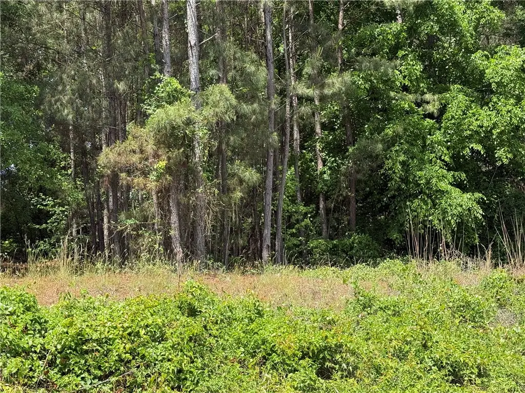 0 Airline Road #Lot 2, Anderson, SC 29624 - #1