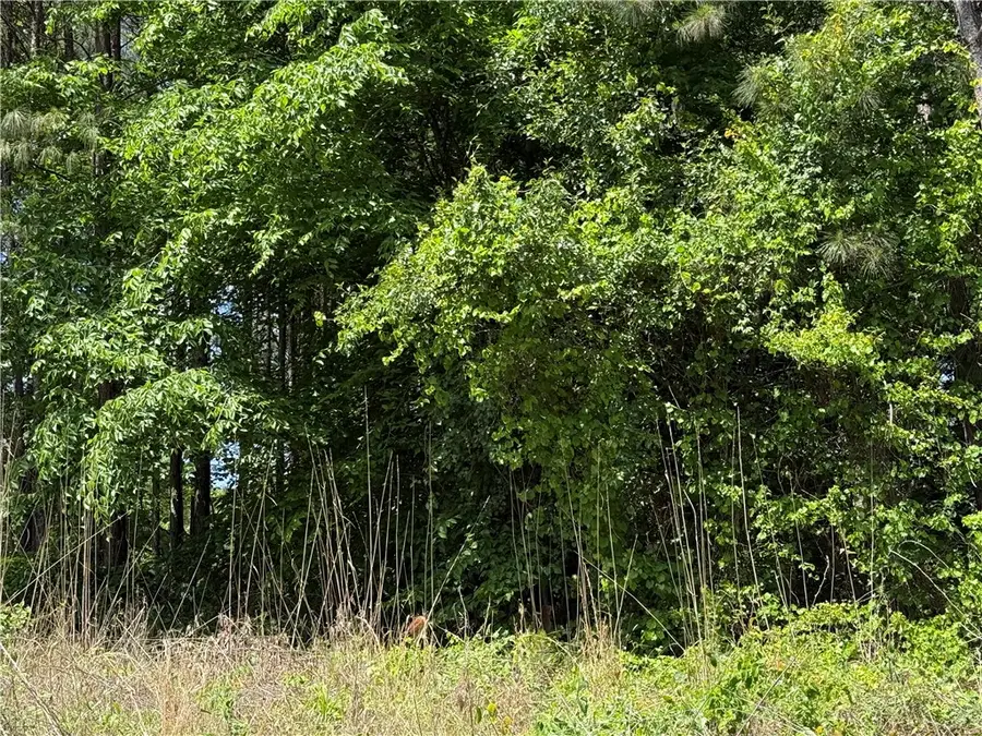 0 Airline Road #Lot 2, Anderson, SC 29624 - #2