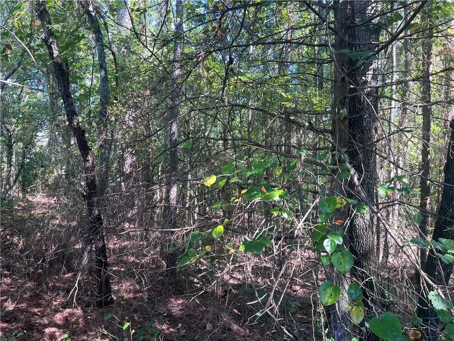 000 Oak Grove Road, Westminster, SC 29693 - #2