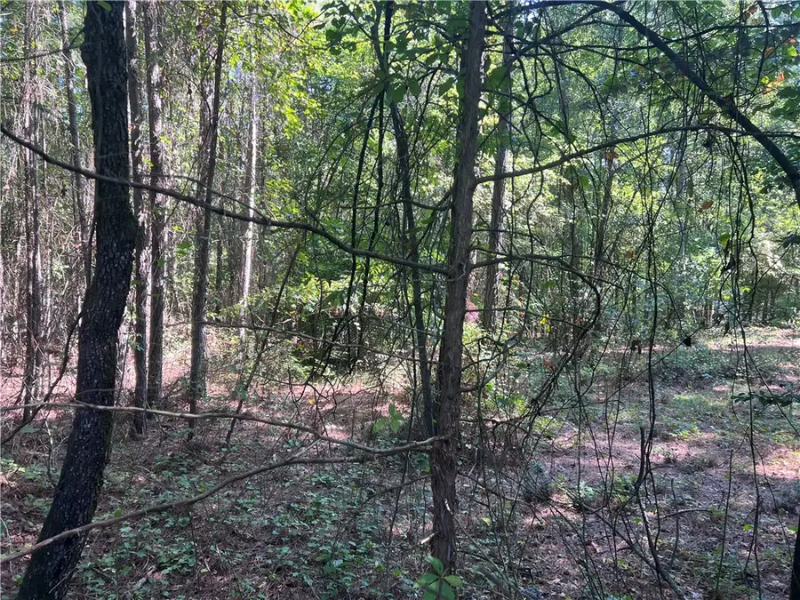 000 Oak Grove Road, Westminster, SC 29693 - #3