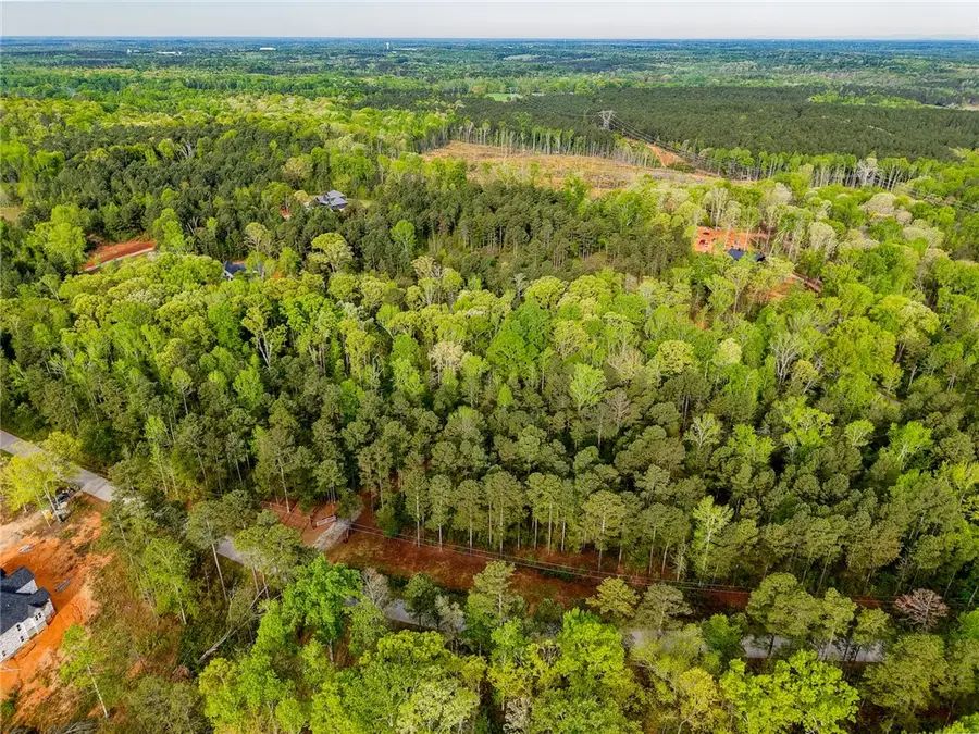 579 Mordeci Mountain Road, Gray Court, SC 29645 - #2