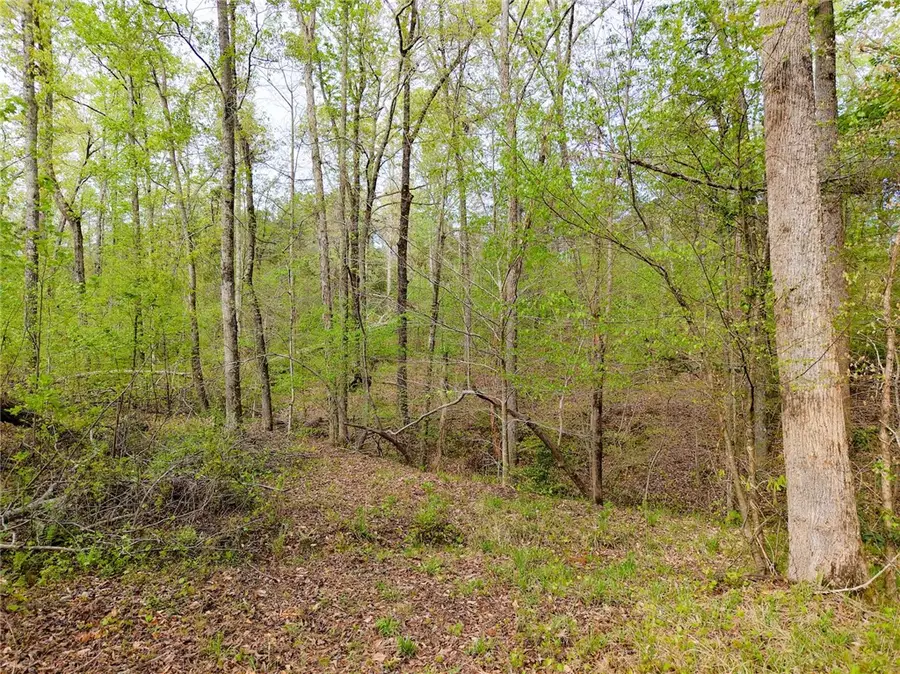 579 Mordeci Mountain Road, Gray Court, SC 29645 - #3