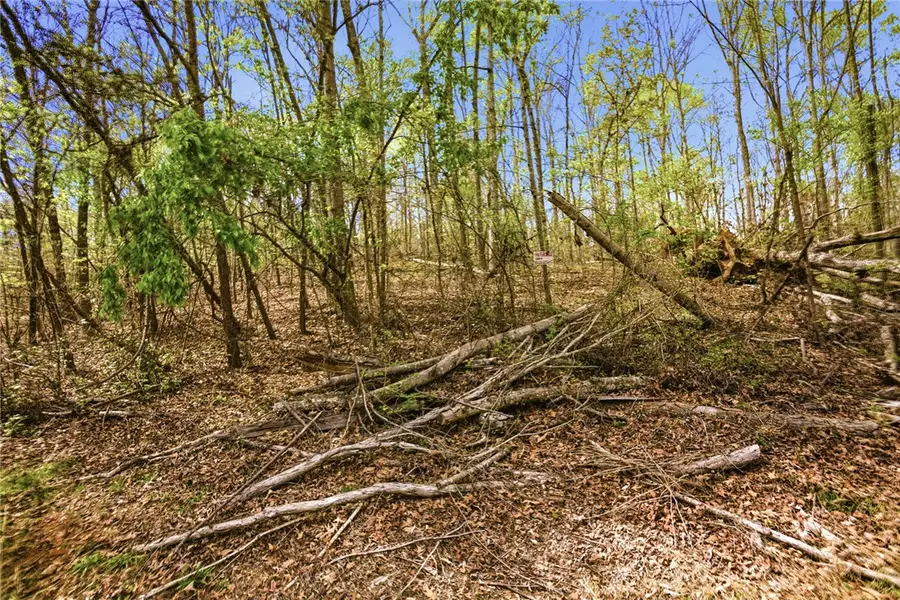 Lot 42 Brandywine Drive, Westminster, SC 29693 - #2