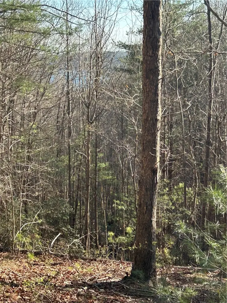 Lot 160 Club House Drive, Sunset, SC 29685 - #1