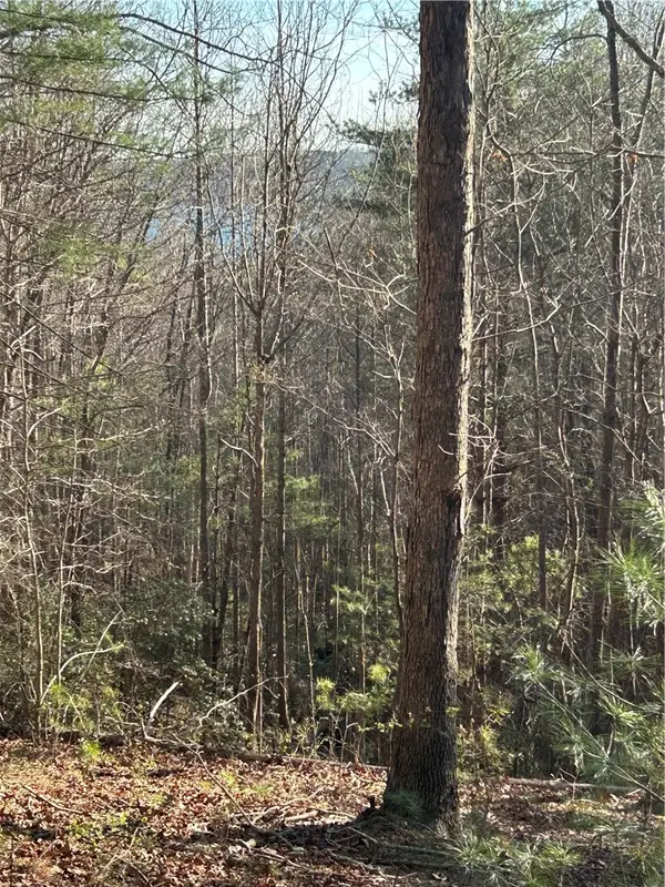 Lot 160 Club House Drive, Sunset, SC 29685