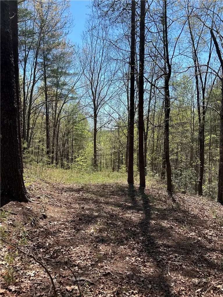 Lot 160 Club House Drive, Sunset, SC 29685 - #2