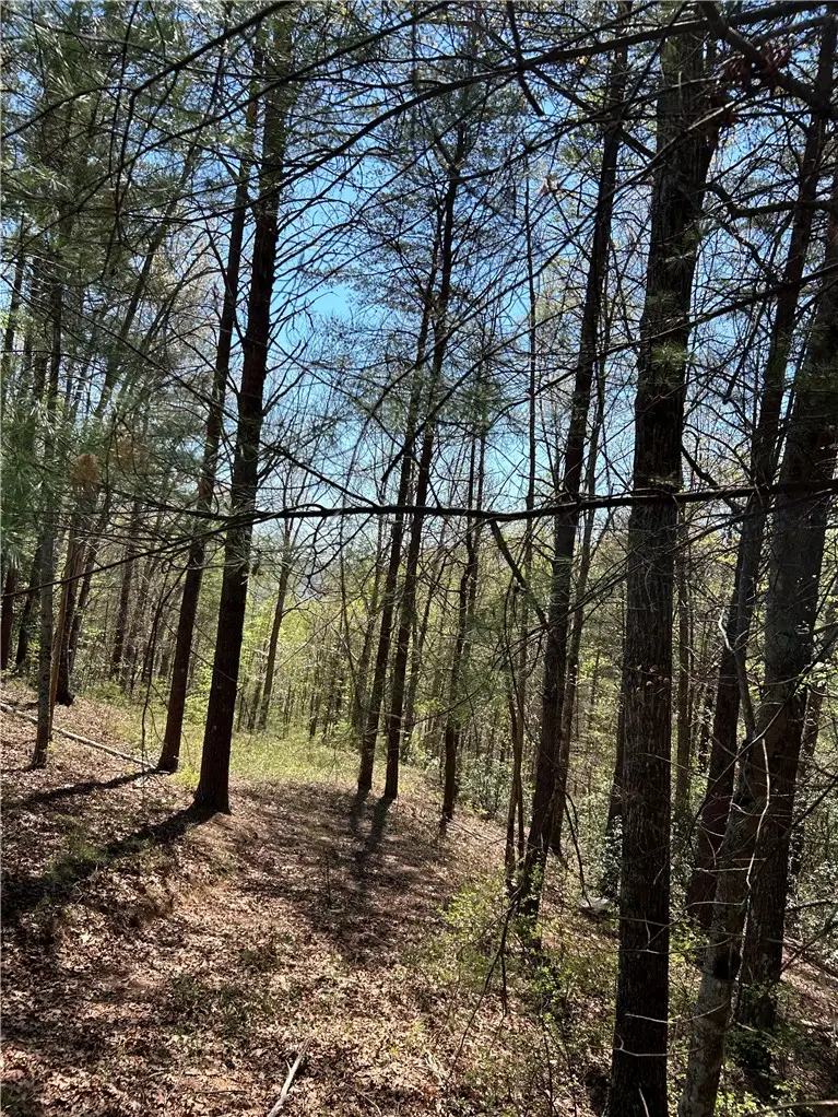 Lot 160 Club House Drive, Sunset, SC 29685 - #3